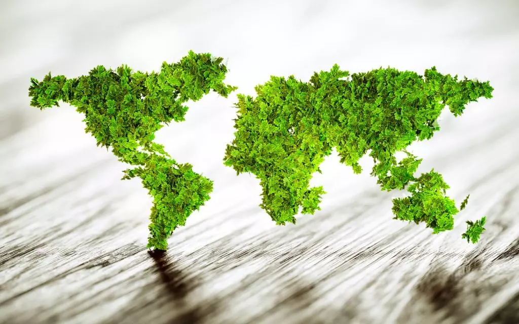 How to Choose Recyclable Containers